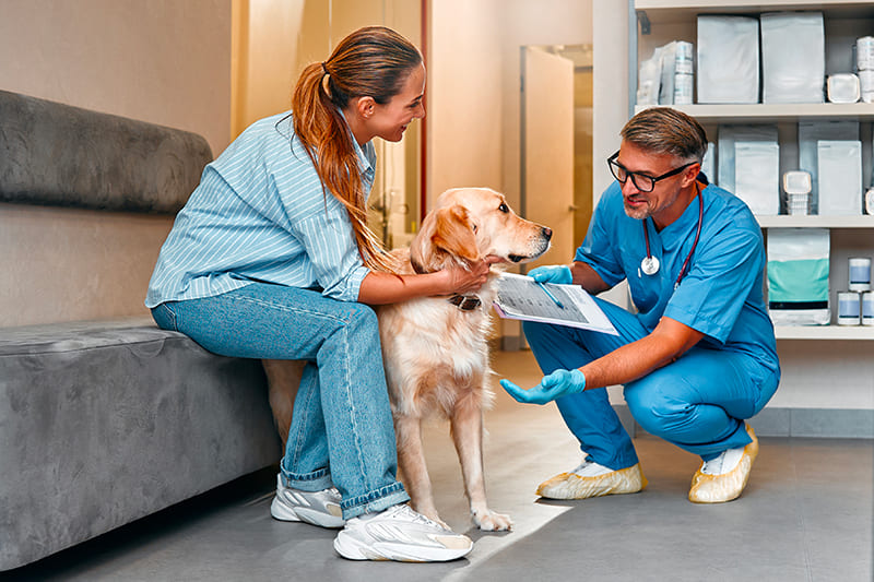 Urgence VETERINAIRE Clermont-Ferrand - Puy de Dôme