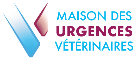 Urgences Vétérinaires à Valence 7j/7 - Emergency Pet Care